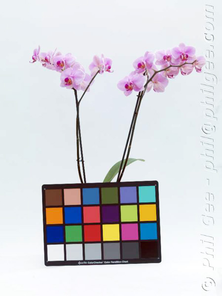 Target in use © Phil Gee