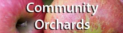 Community Orchards Link