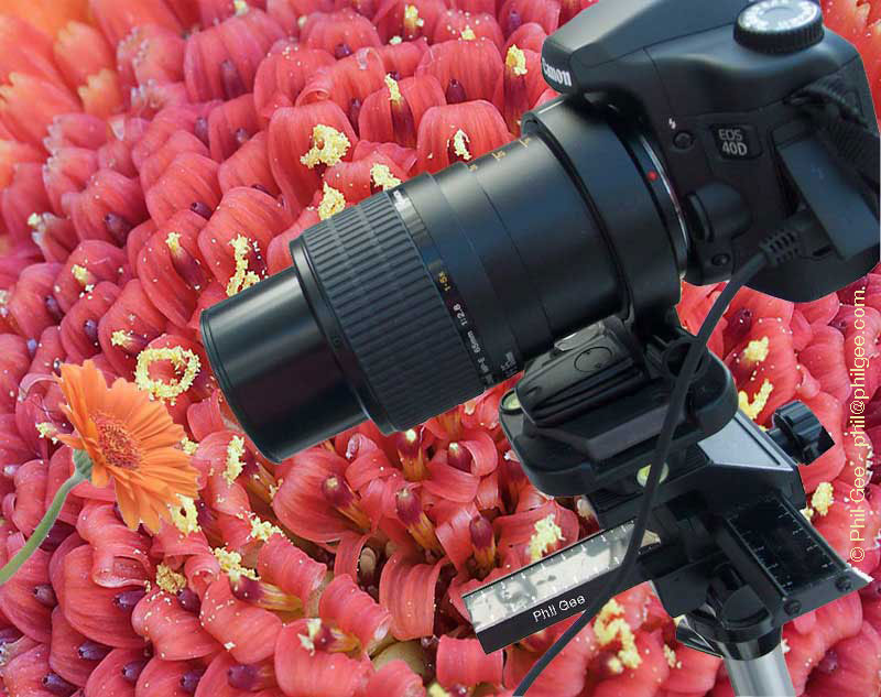 Macro Lens © Phil Gee