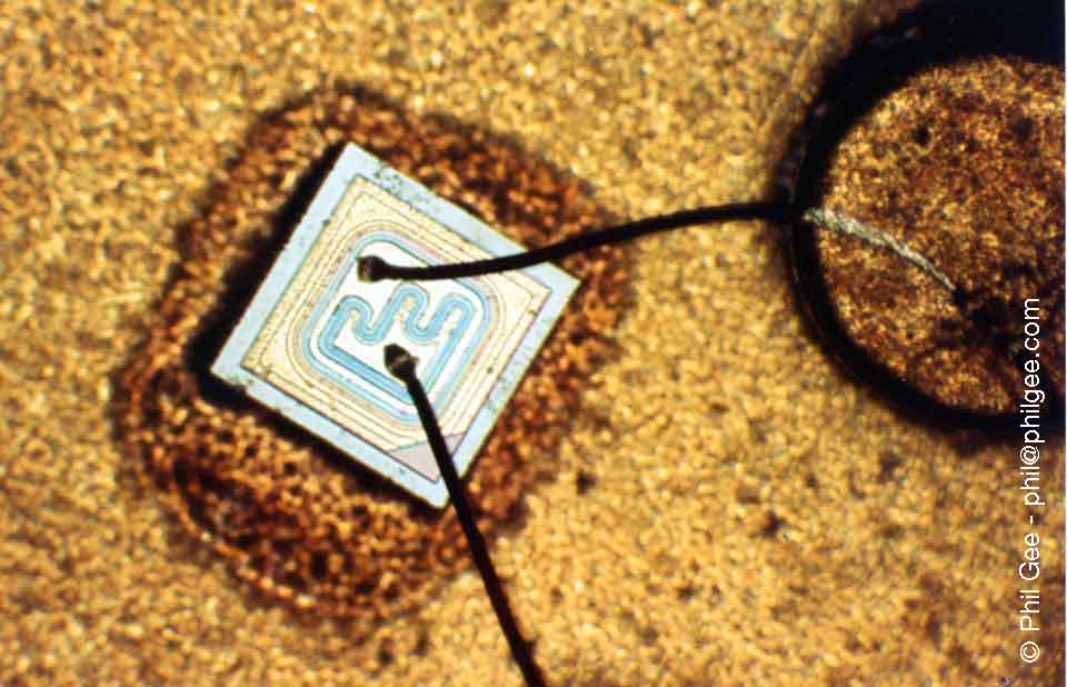 Photomicroscopy © Phil Gee