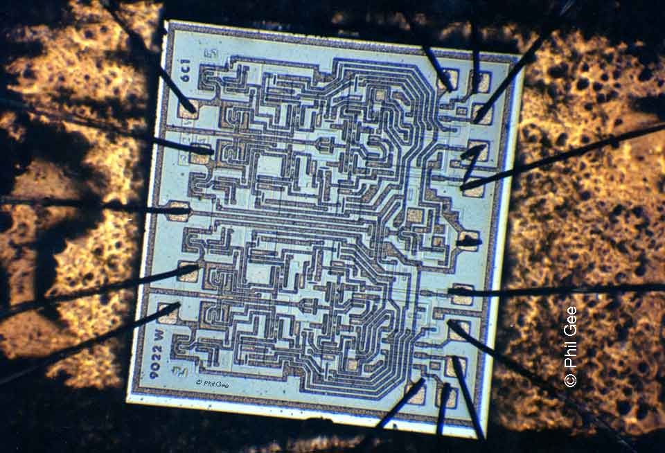 Photomicroscopy © Phil Gee