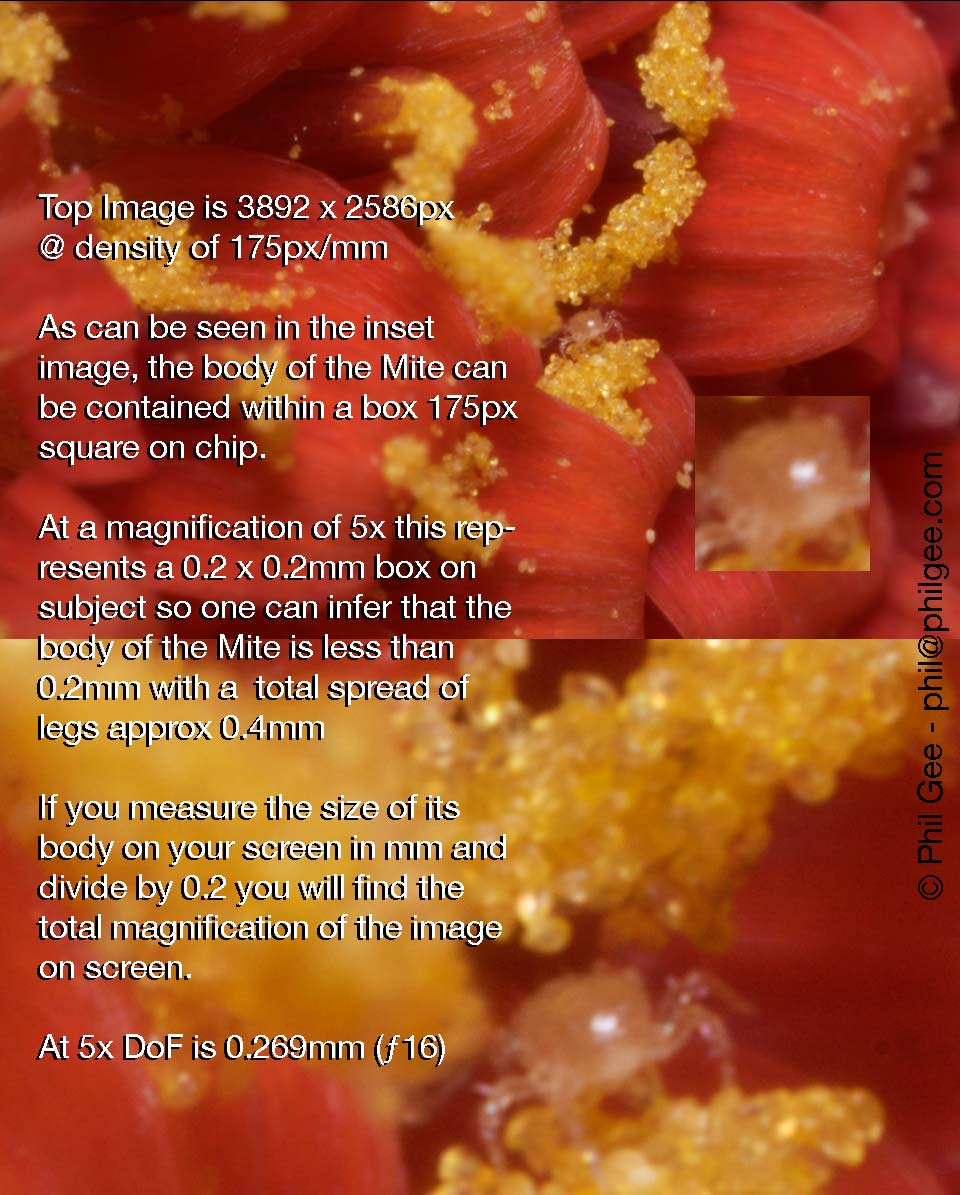 Photometrics © Phil Gee