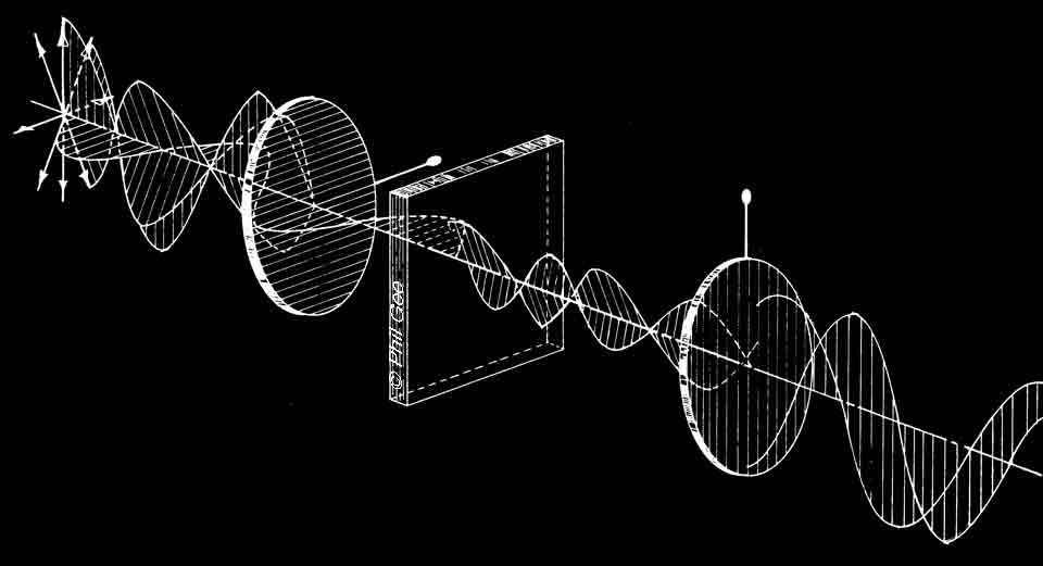 Plane Pol' © Phil Gee